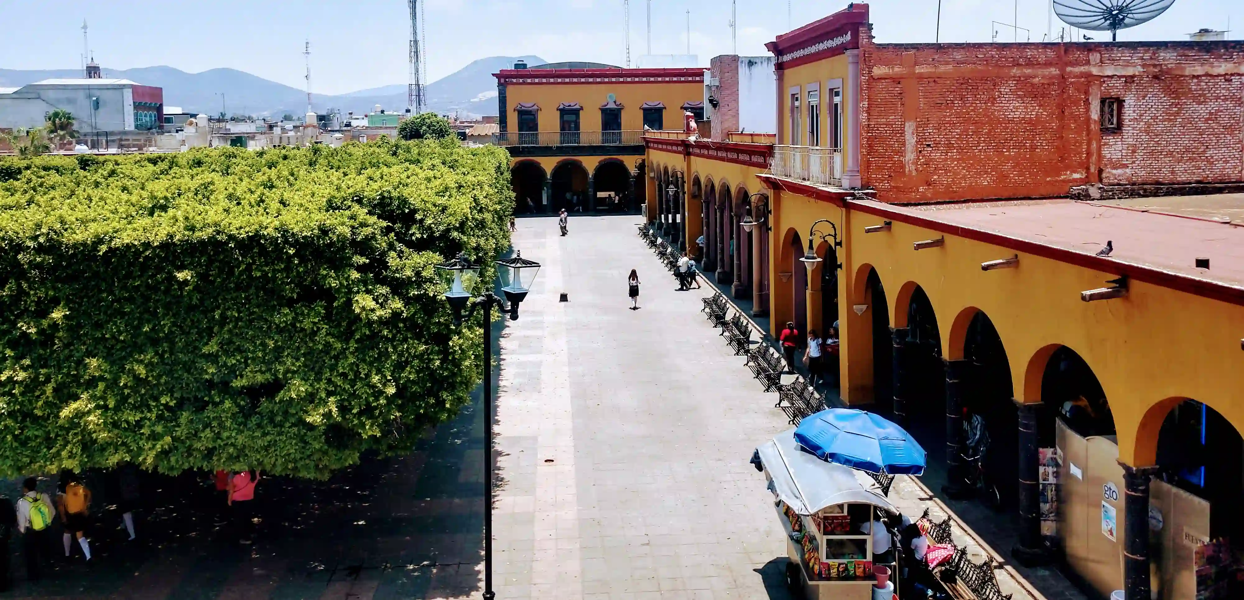 Jardin principal vista lateral.